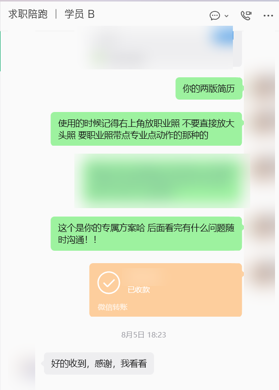 交付实录：两版简历 + 一份专属求职方案